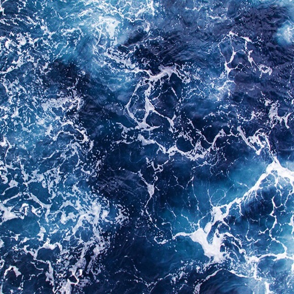 Meet your Posher, Lisa - Picture 1 of 1